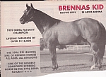 Brennas Kid 